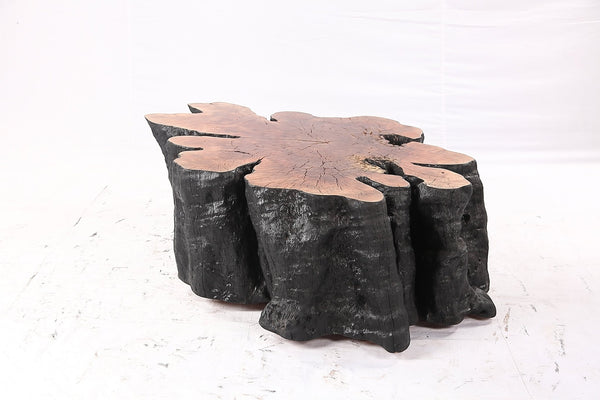 Organic Lychee Block Coffee Table B3 - Dyag East