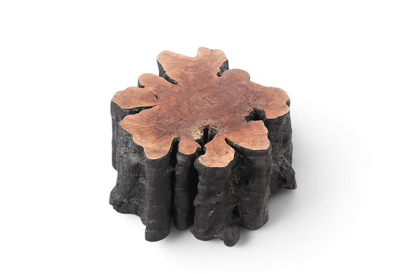Organic Lychee Block Coffee Table B3 - Dyag East