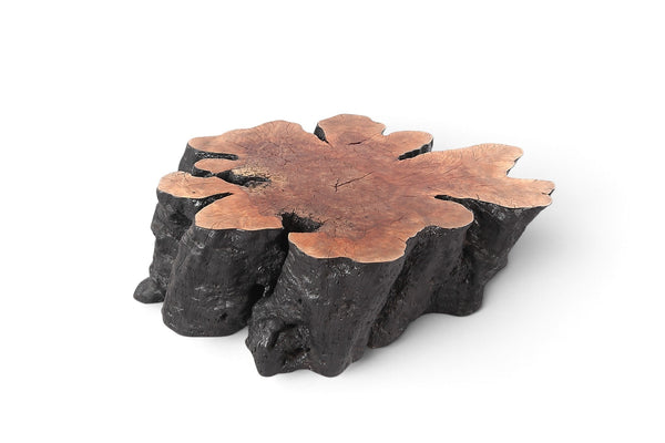 Organic Lychee Block Coffee Table B3 - Dyag East