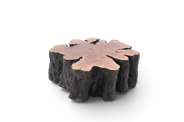 Organic Lychee Block Coffee Table B3 - Dyag East
