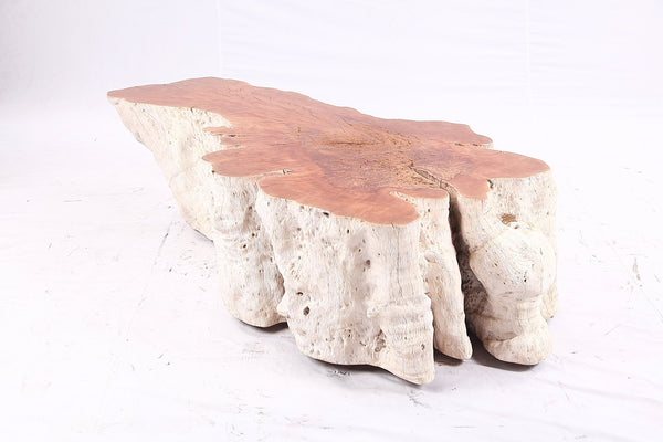 Organic Lychee Block Coffee Table W1 - Dyag East