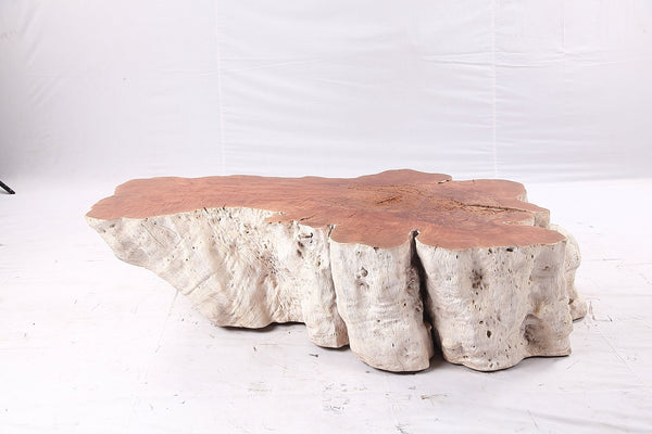 Organic Lychee Block Coffee Table W1 - Dyag East