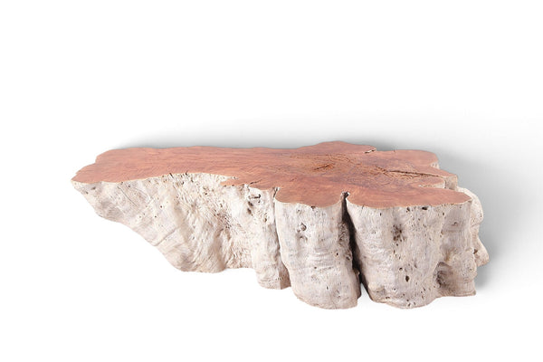 Organic Lychee Block Coffee Table W1 - Dyag East
