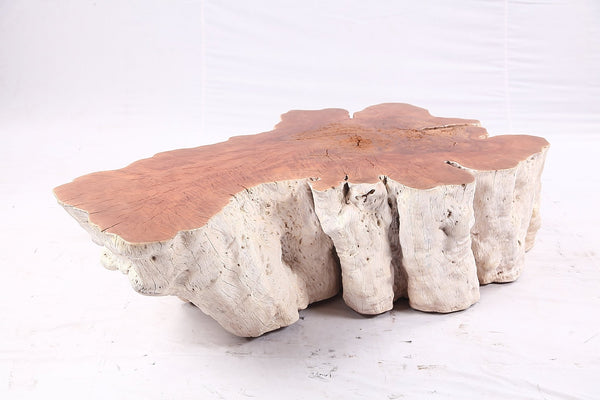 Organic Lychee Block Coffee Table W1 - Dyag East