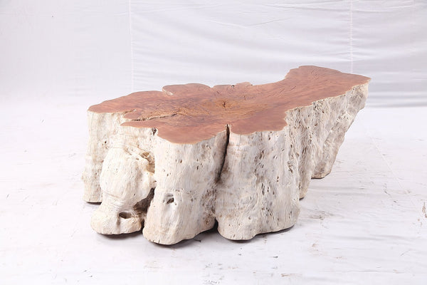 Organic Lychee Block Coffee Table W1 - Dyag East