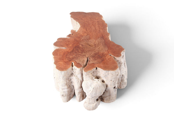 Organic Lychee Block Coffee Table W1 - Dyag East