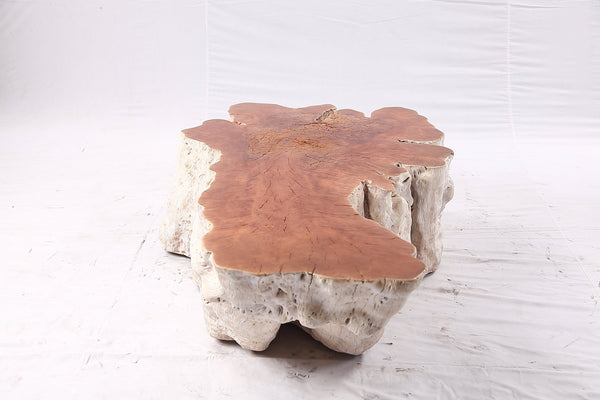 Organic Lychee Block Coffee Table W1 - Dyag East