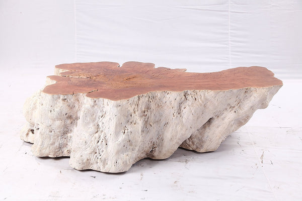 Organic Lychee Block Coffee Table W1 - Dyag East