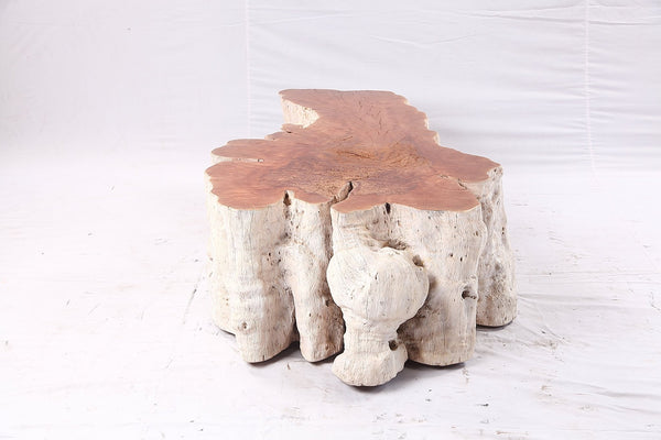Organic Lychee Block Coffee Table W1 - Dyag East