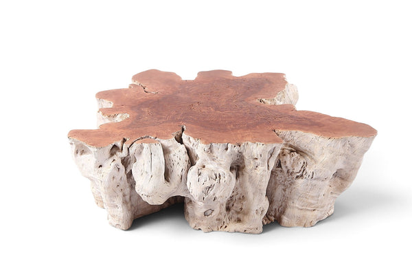 Organic Lychee Block Coffee Table W2 - Dyag East