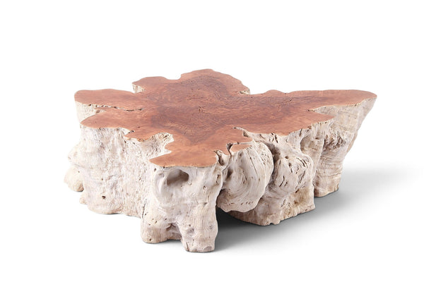 Organic Lychee Block Coffee Table W2 - Dyag East