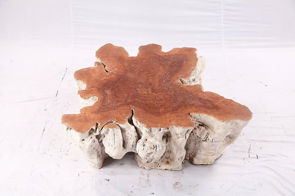 Organic Lychee Block Coffee Table W2 - Dyag East