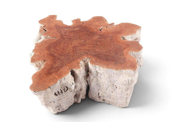Organic Lychee Block Coffee Table W2 - Dyag East