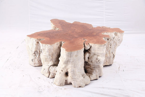 Organic Lychee Block Coffee Table W2 - Dyag East