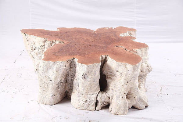 Organic Lychee Block Coffee Table W2 - Dyag East