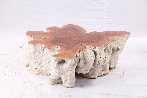 Organic Lychee Block Coffee Table W2 - Dyag East