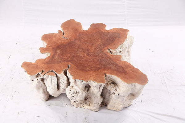 Organic Lychee Block Coffee Table W2 - Dyag East