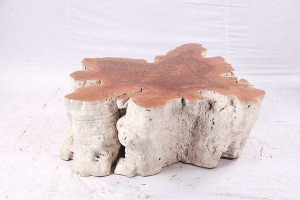 Organic Lychee Block Coffee Table W2 - Dyag East