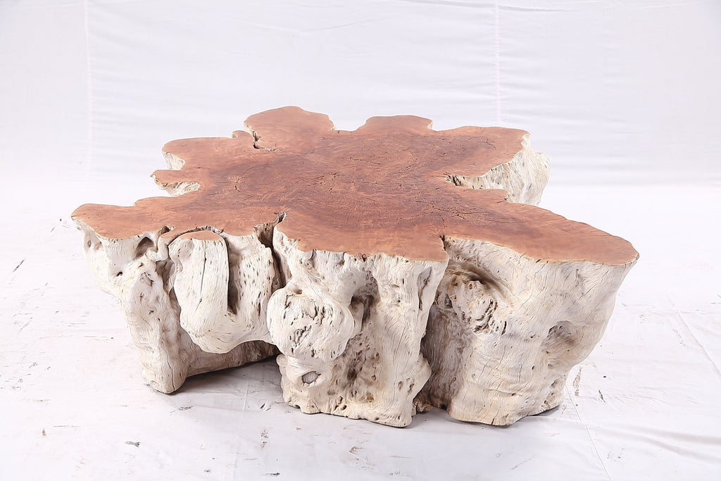 Organic Lychee Block Coffee Table W2 - Dyag East