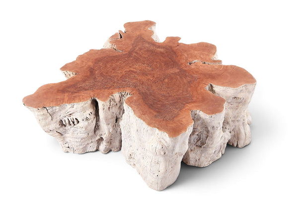 Organic Lychee Block Coffee Table W2 - Dyag East