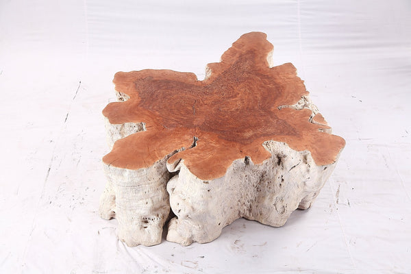 Organic Lychee Block Coffee Table W2 - Dyag East
