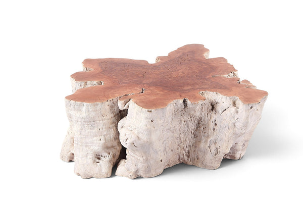 Organic Lychee Block Coffee Table W2 - Dyag East