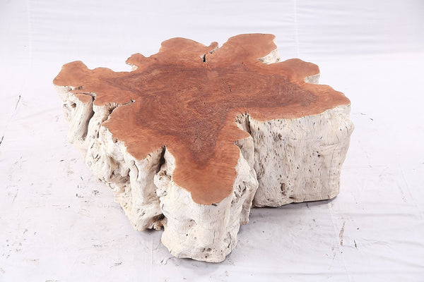 Organic Lychee Block Coffee Table W2 - Dyag East