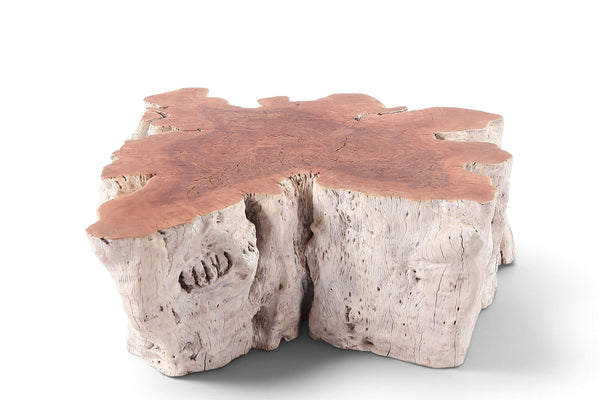 Organic Lychee Block Coffee Table W2 - Dyag East