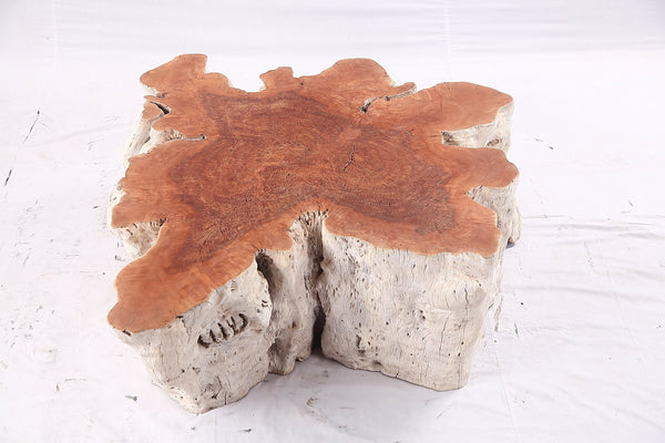 Organic Lychee Block Coffee Table W2 - Dyag East