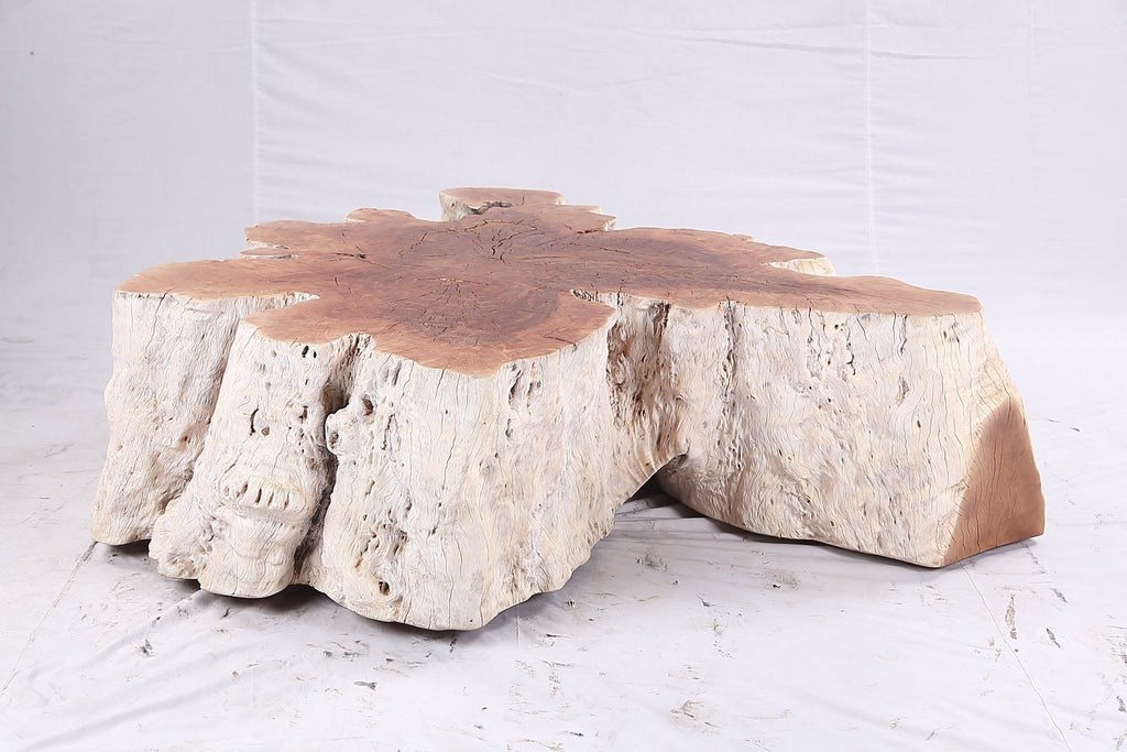 Organic Lychee Block Coffee Table W3 - Dyag East