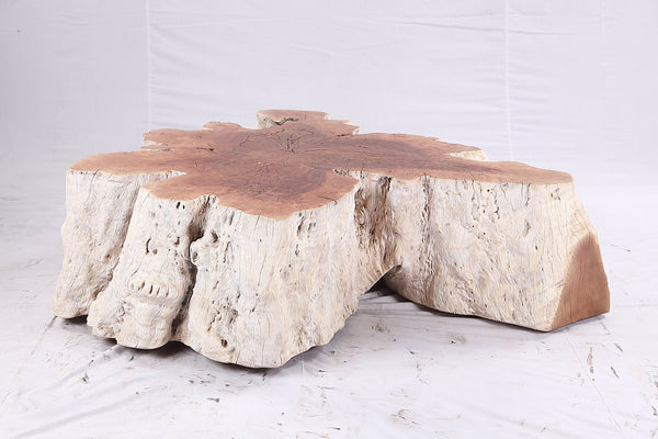 Organic Lychee Block Coffee Table W3 - Dyag East