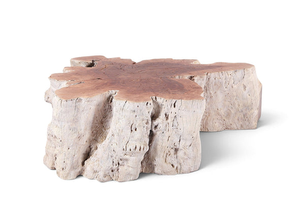Organic Lychee Block Coffee Table W3 - Dyag East