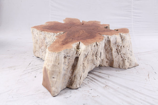 Organic Lychee Block Coffee Table W3 - Dyag East