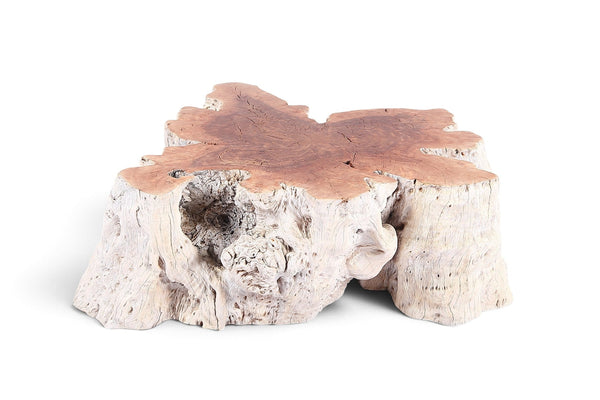 Organic Lychee Block Coffee Table W3 - Dyag East