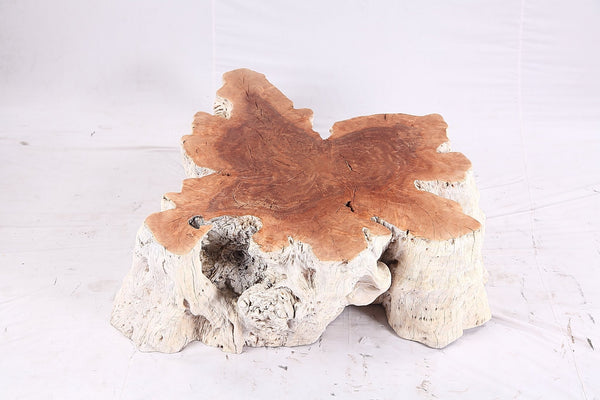 Organic Lychee Block Coffee Table W3 - Dyag East
