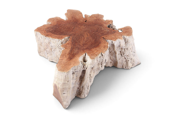 Organic Lychee Block Coffee Table W3 - Dyag East