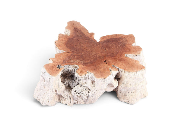 Organic Lychee Block Coffee Table W3 - Dyag East