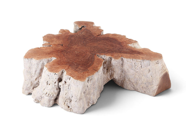 Organic Lychee Block Coffee Table W3 - Dyag East