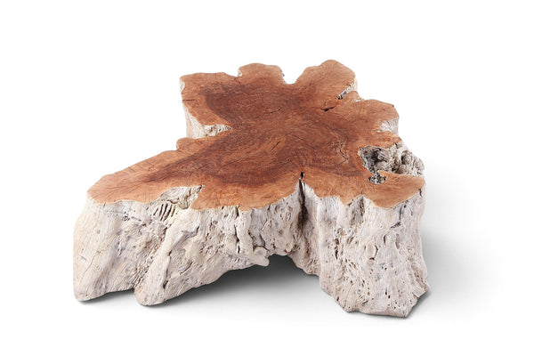 Organic Lychee Block Coffee Table W3 - Dyag East