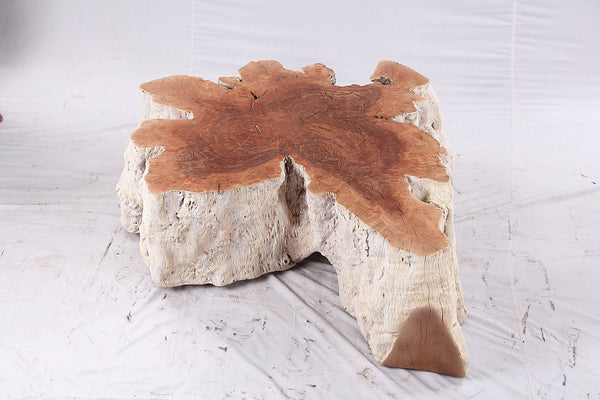 Organic Lychee Block Coffee Table W3 - Dyag East