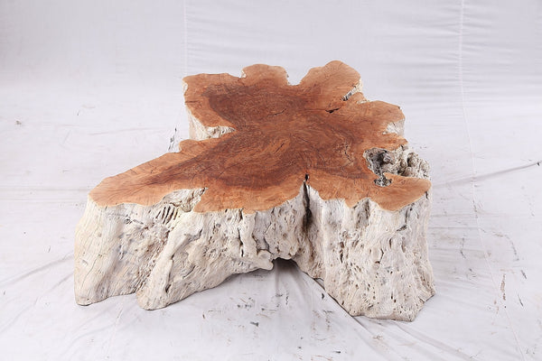 Organic Lychee Block Coffee Table W3 - Dyag East