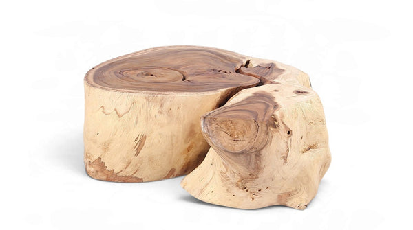 Organic Suar Wood Onion Shape Accent Table - Dyag East