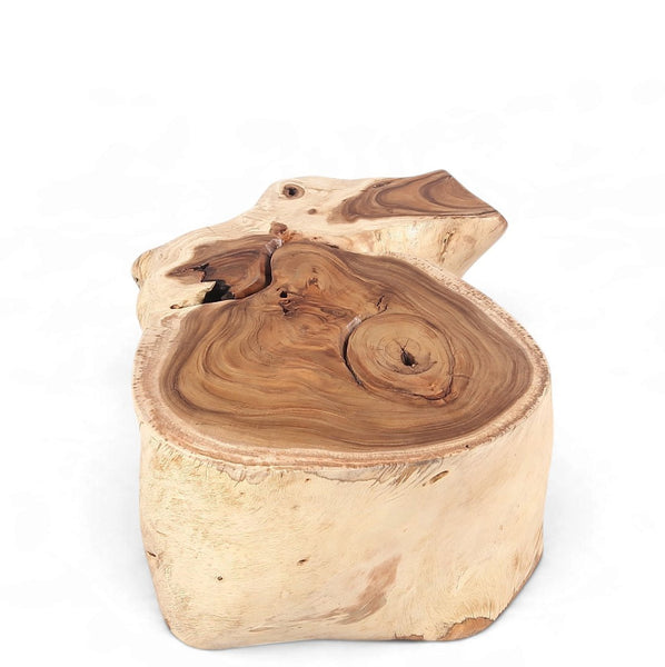 Organic Suar Wood Onion Shape Accent Table - Dyag East