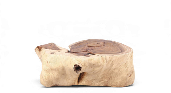 Organic Suar Wood Onion Shape Accent Table - Dyag East