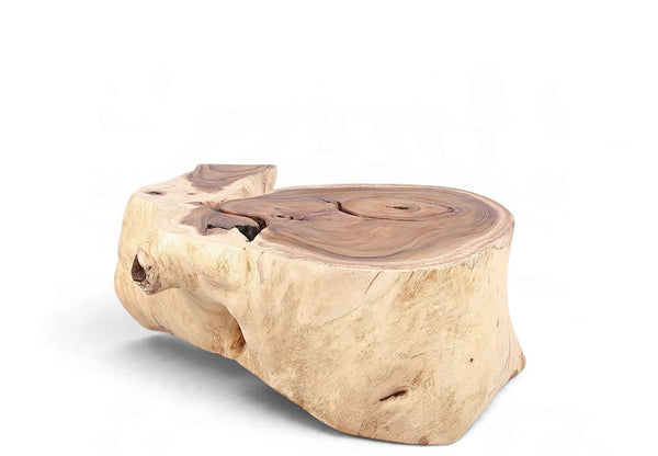 Organic Suar Wood Onion Shape Accent Table - Dyag East
