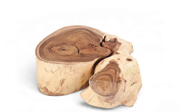 Organic Suar Wood Onion Shape Accent Table - Dyag East