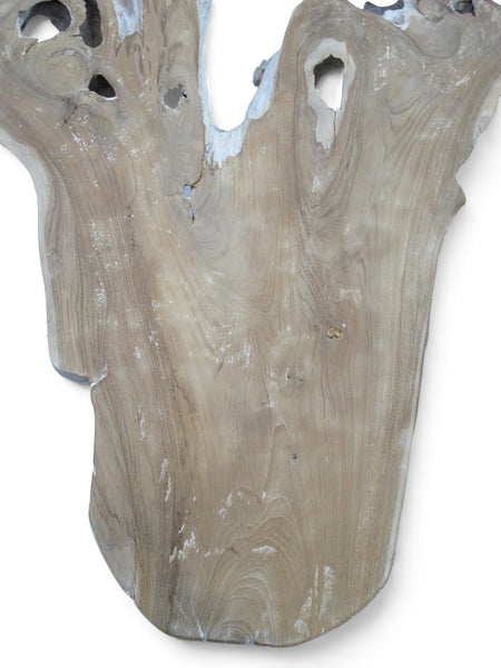 Organic Teak Root Sculpture Wall Art 12 - Dyag East