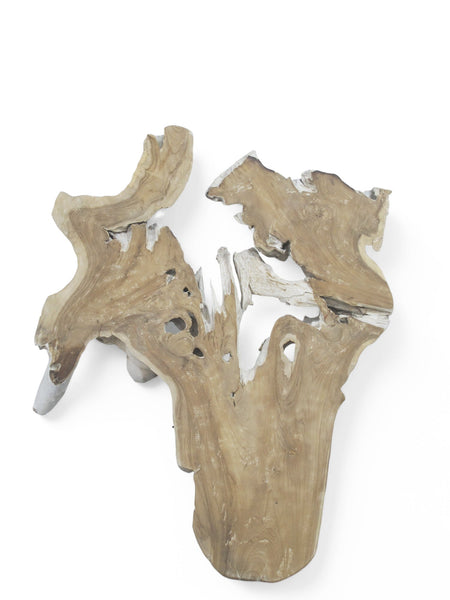 Organic Teak Root Sculpture Wall Art 12 - Dyag East