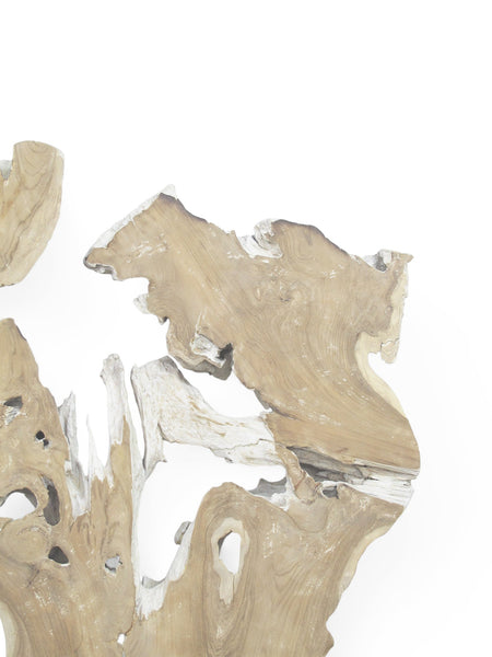 Organic Teak Root Sculpture Wall Art 12 - Dyag East