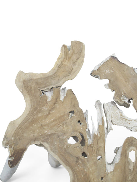 Organic Teak Root Sculpture Wall Art 12 - Dyag East